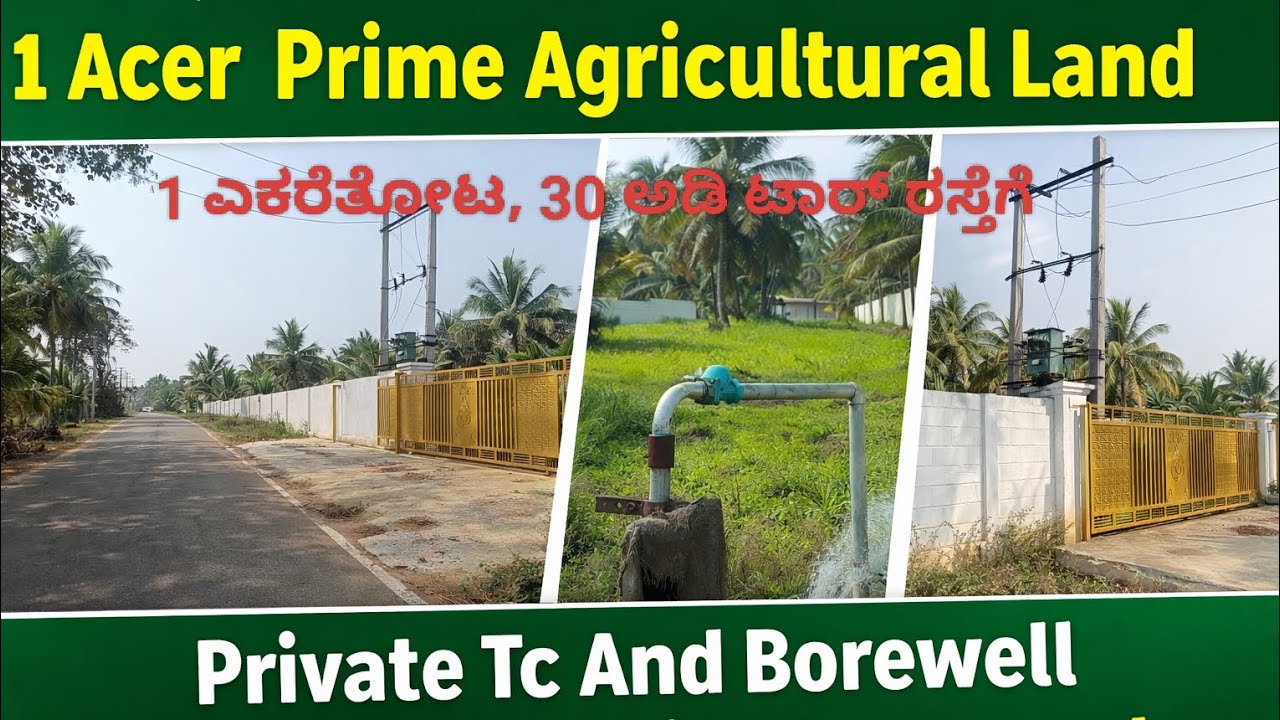 1  Acer Prime Coconut farm land for sale at Channapatna 📱9449824275