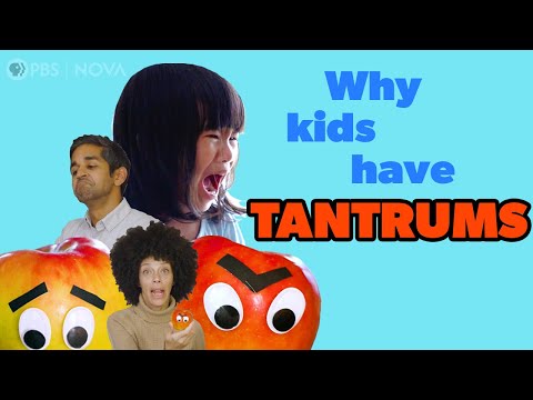 Video: Kāpēc maziem bērniem ir dusmu lēkmes?