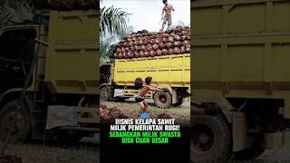 Bisnis Kelapa Sawit Bikin Rugi! #kelapasawit #pemerintah #andryhakim #stockwise