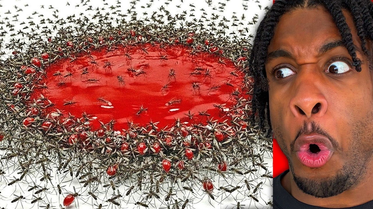 1,000 Mosquitoes vs. Blood!