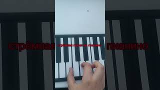 #rek #piano #карольишут #pianotutorial #киш #музыка #music #tutorial #pianocover Maxkomand6