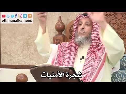 323 - تعليق الأمنيات على شجرة الأمنيات - عثمان الخميس