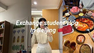 Exchange Student Vlog | Korean, Staying in China