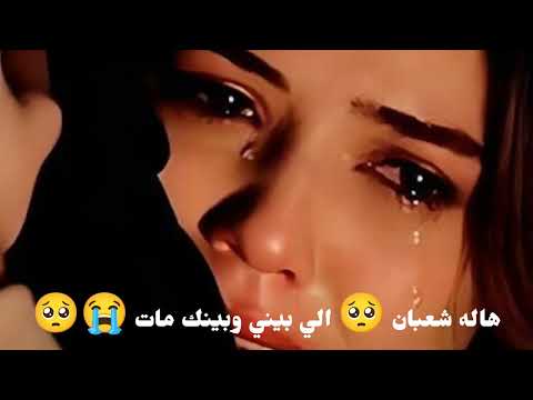 هاله شعبان الي بيني وبينك مات