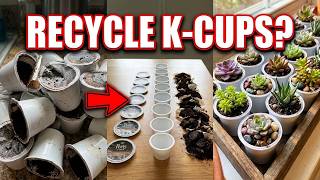 How to Recycle K-Cups?  I Tried It for a MONTH