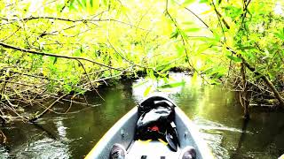 Wasserwandern Auf Der Örtze Von Müden Bis Nach Hermannsburg Kajak Jungfernfahrt