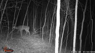 2 20220122 0702 Buck7