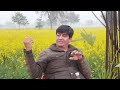 वह लोग अपने बच्चों के लिए राजतंत्र घोषित करना चाहते हैं ❗❓ Dr Devender Balhara 