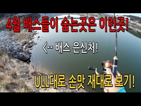 미스터 초이