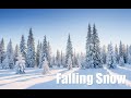 Falling Snow in a Quiet Forest