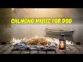 12 HOURS of Dog Music for Nighttime Peace and Comfort 🐾🎶 | Calm Stress, Barking, and Whining