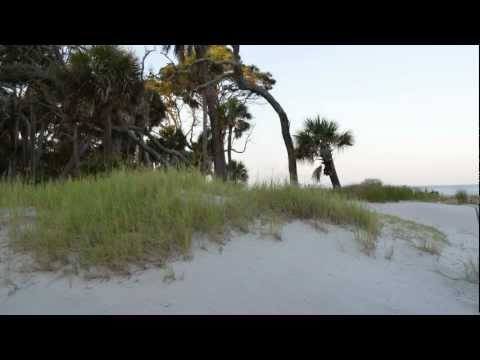 Welcome to Beaufort SC, a coastal lowcountry town, rich in history