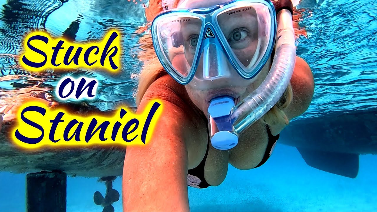 ⁣SDA217 Stuck on Staniel: Hand Steering and Stingrays