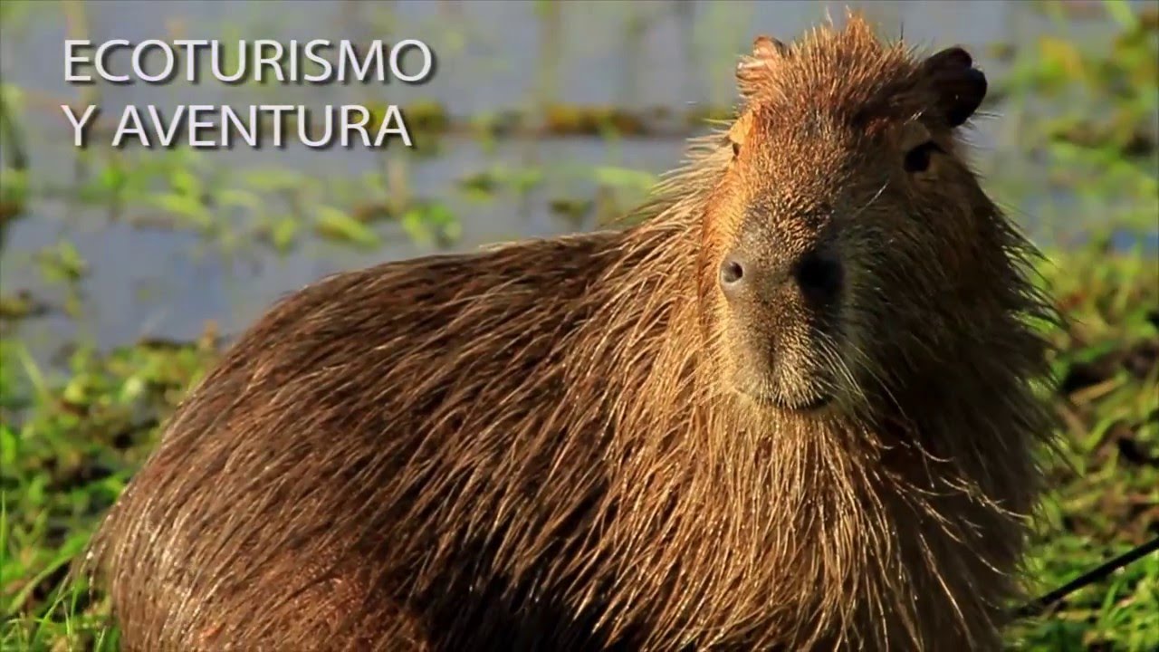 Escapadas de Otoño en Corrientes