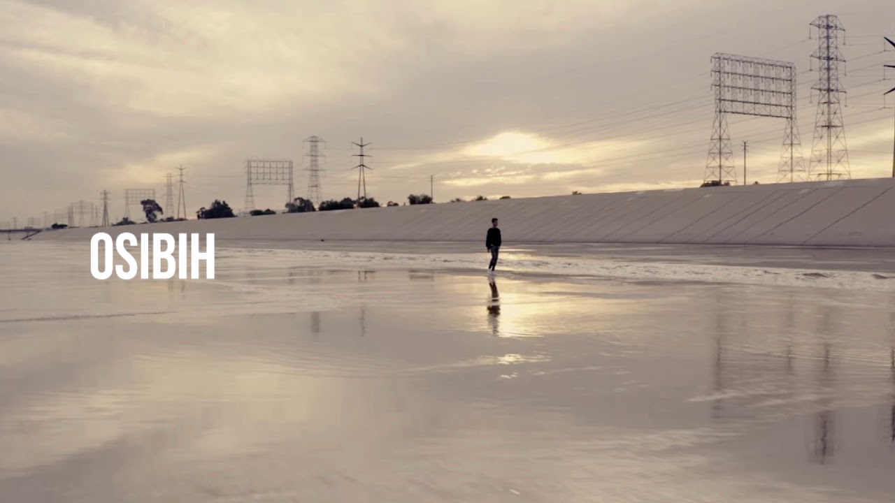 Osibih - No Reason (p. DinoDidTheDash)
