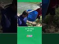 Cá tra giống rớt giá #nongnghiepmientay