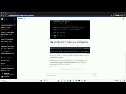 python arguments in