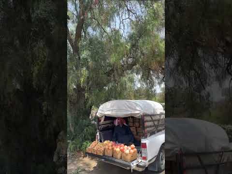 وقال عليه الصلاة والسلام فيما رواه البخاري في الصحيح ما أكل أحد طعام ا أفضل من أن يأكل من عمل يده