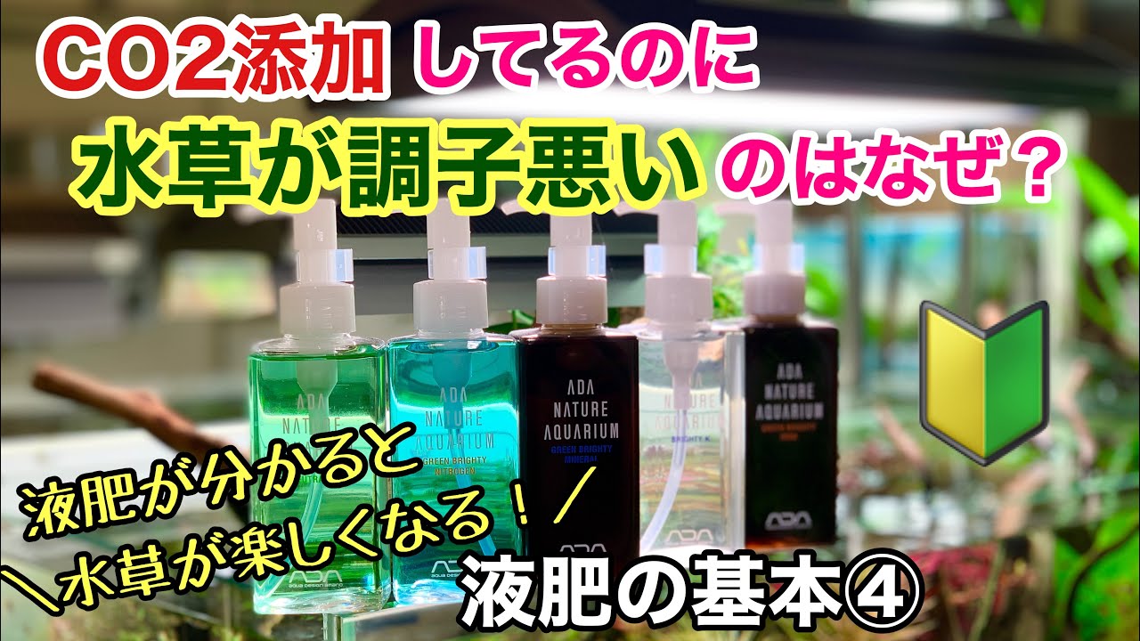 水草水槽の液肥の基本 栄養不足の見極め方 Adaネイチャーアクアリウム立ち上げ初心者 液体肥料添加方法 固形肥料 で有茎草グリーンロタラ インディカ Hra 前景草グロッソスティグマのco2添加で育成 Youtube