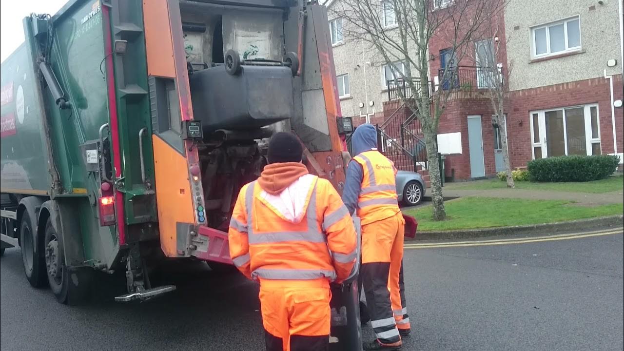 Greyhound collecting black bins YouTube