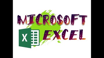 Microsoft Excel - Entering and Editing Data