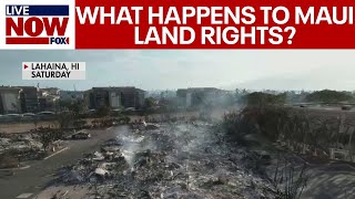 Maui fire: Will residents lose their land now that Lahaina is wiped out? | LiveNOW from FOX