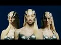 AGNES - FOCUS