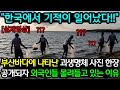 &quot;한국에서 기적이 일어났다!!&quot; 부산바다에 나타난 괴생명쳬 사진 한장 공개되자 외국인들 단체로 몰려들고 있는 이유 (해외반응)