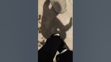 LOVE Park 1st Person #session #sessionskatesim #sessiongame #skateboarding #playstation #gopro