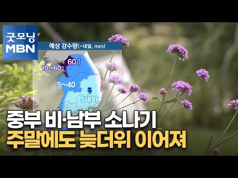 [굿모닝MBN 날씨]중부 비·남부 소나기…주말에도 늦더위 이어져 [굿모닝 MBN]