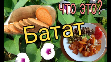 Батат.. с чем его едят?..!