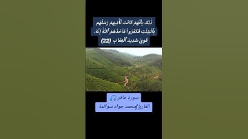 سورة غافر - آية 22: القارئ/محمد جواد سوالمة