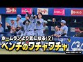 【高寺望夢】ホームランより気になる(？)ベンチのワチャワチャ！