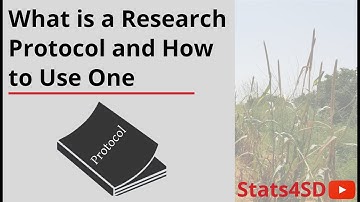 What is a Research Protocol and How to Use One