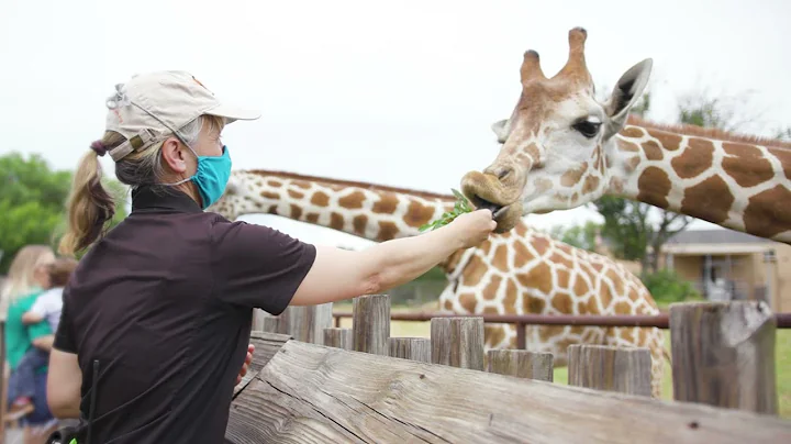 A Safe Return to AZA-Accredited Zoos and Aquariums (Short)