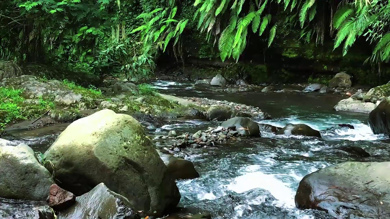 Forest River Sounds – Peaceful Flowing River & Calming Water Sounds for Deep Sleep