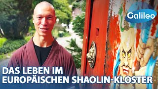 Alltag im Shaolin Temple Europe: Harte Ausbildung, viel Verzicht & viel Disziplin