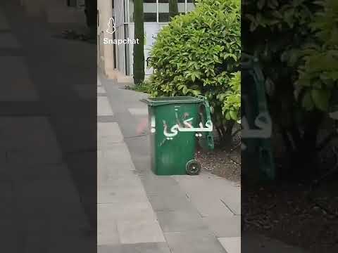 لسا الشوارع بتذكرني فيكي