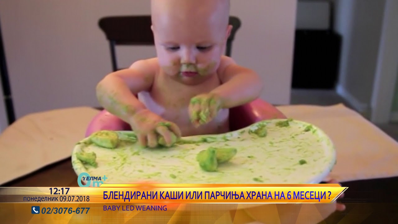 0м+ Блендирани кашички или парчиња храна на 6 месеци?