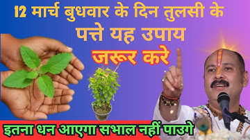 12 मार्च बुधवार चतुर्दशी तिथि को 3 तुलसी पत्ते वाला उपाय जरुर करे |