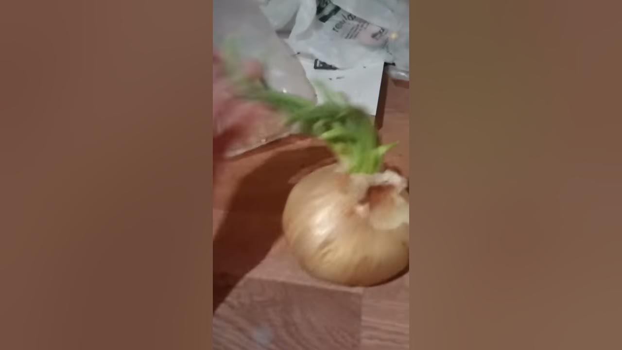 Weird onion thing YouTube