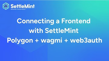 Connecting a Web3 Frontend - Polygon + NextJS + wagmi +  web3auth  | Settlemint