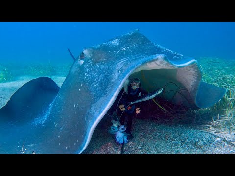 Under Rays - no one can hear you scream  - Ep 82