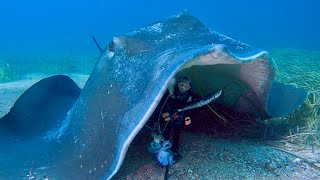 Under Rays - no one can hear you scream  - Ep 82
