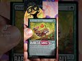 Bearded Turtle "Tea-CG"Pack 2 The "Pulled Pork Pre-release"