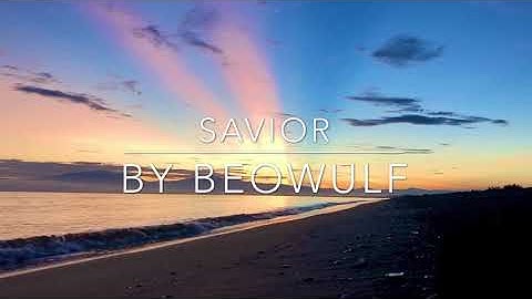 Savior by Beowulf, Video by MDS