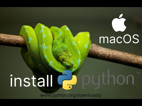 Как установить Python за 10 секунд на Mac OS