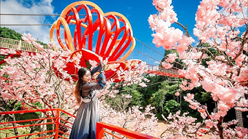 SAPA TV | CÙNG EM GÁI THÁI TRẮNG TRẢI NGHIỆM CẦU KÍNH TÌNH YÊU & THÁC DẢI YẾM MỘC CHÂU SƠN LA