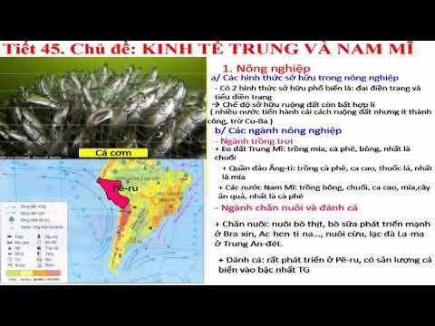 Nội dung học trực tuyến môn Địa lý Lớp 7 (ngày 29/4/2020)