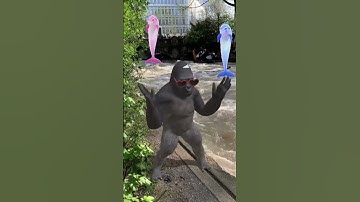 Thumbnail of Gaga Ulala Dance with funky monkey rara Roma